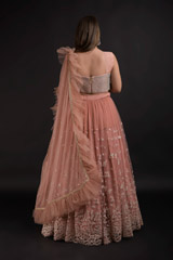 Net Rose Peach Lehenga Set_DTR1371 2